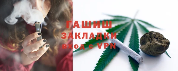 шишки Богородицк